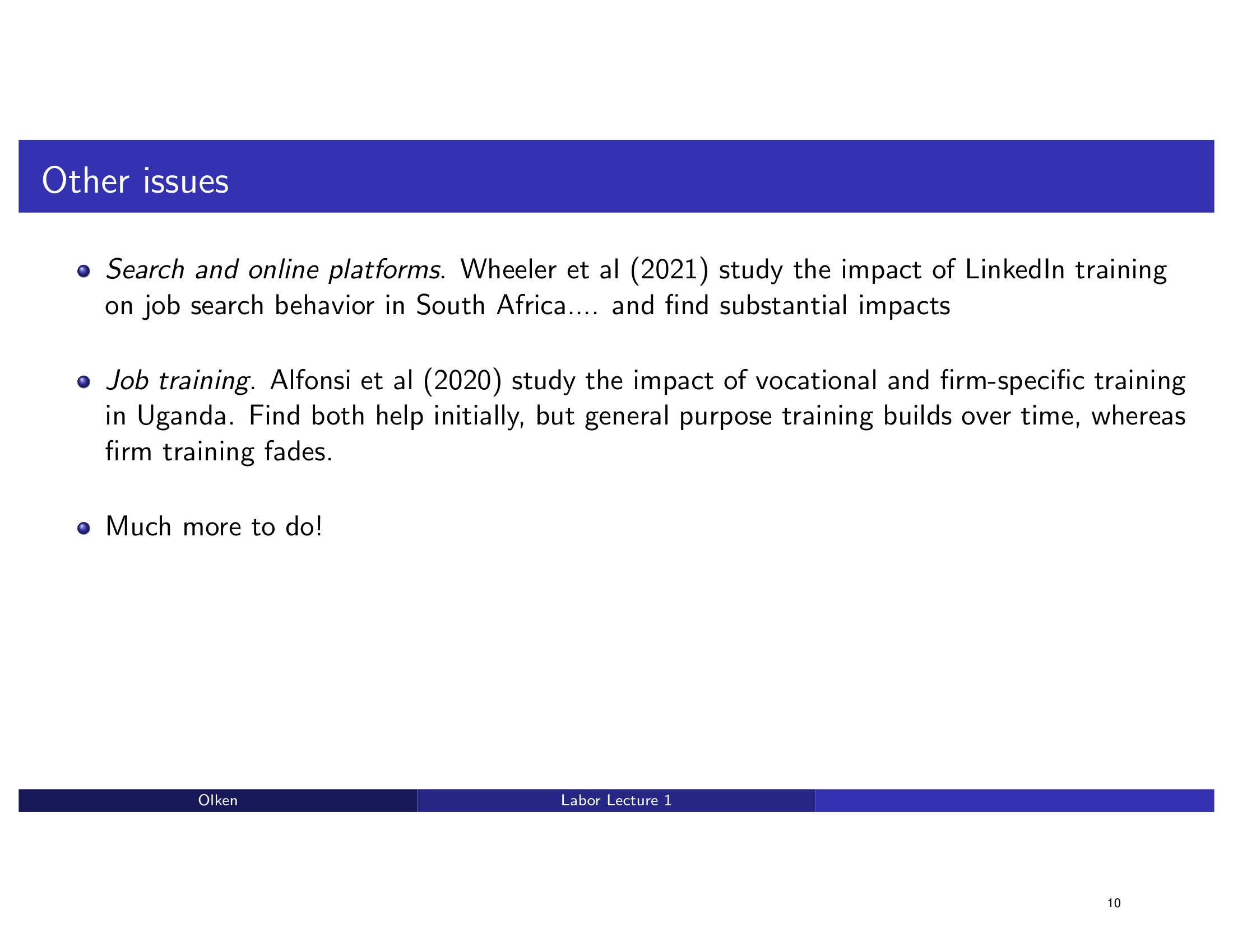 Before: Original slide 10 — flat bullet points on other issues