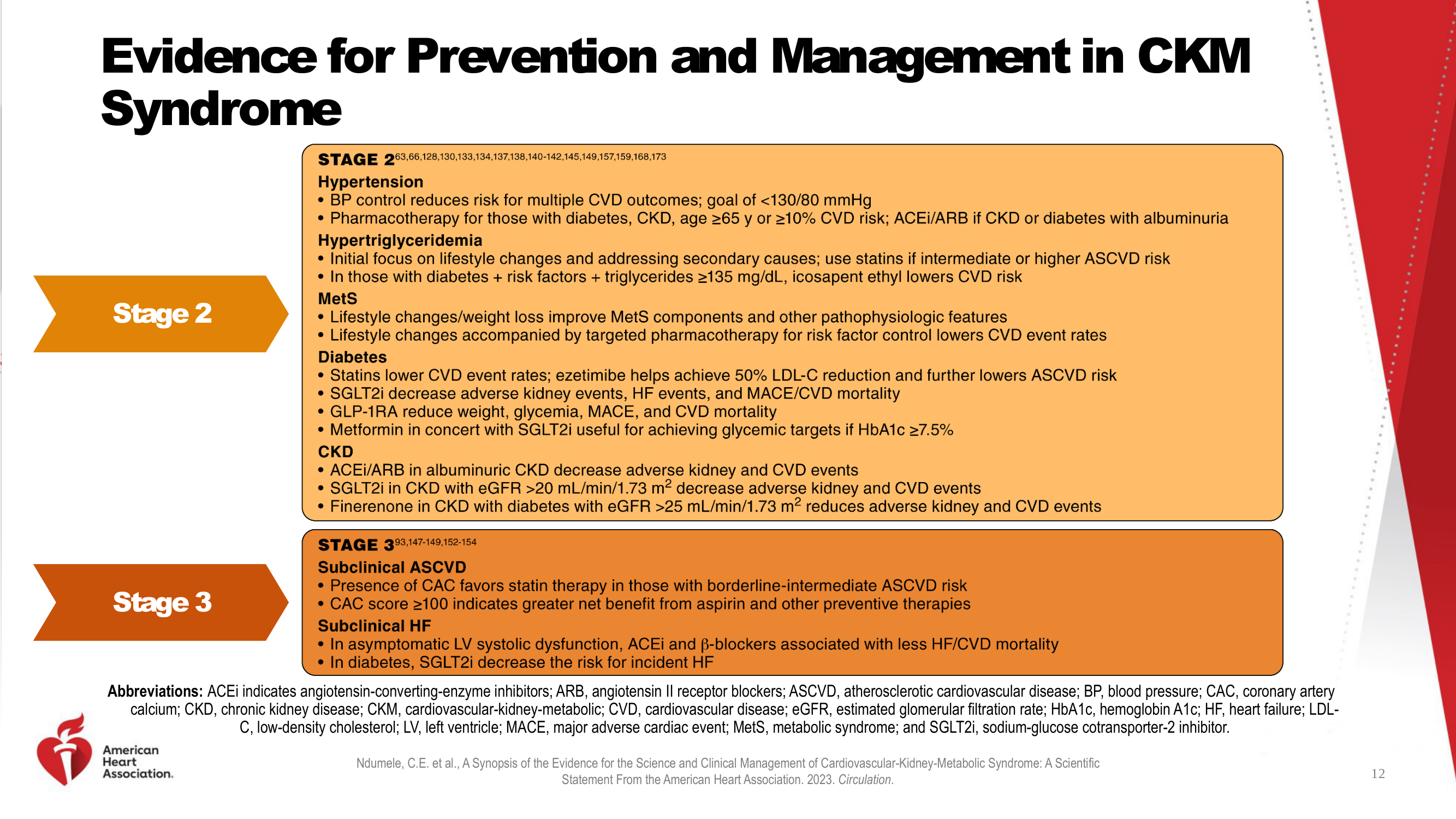 Before: Original slide 12 — extremely dense text for Stage 2 and 3