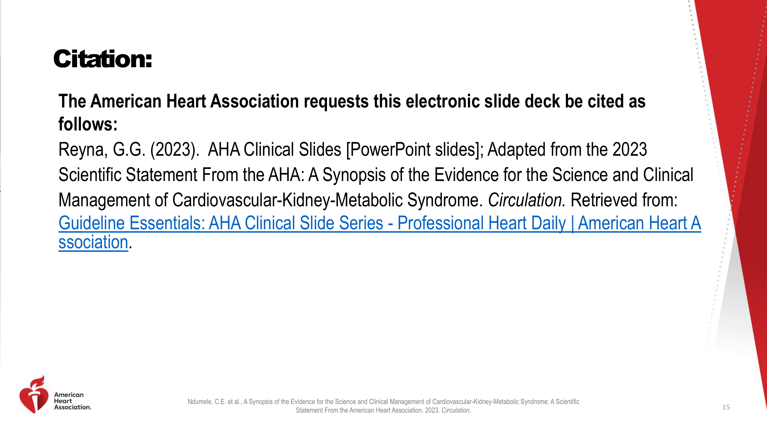 Before: Original slide 15 — plain text citation