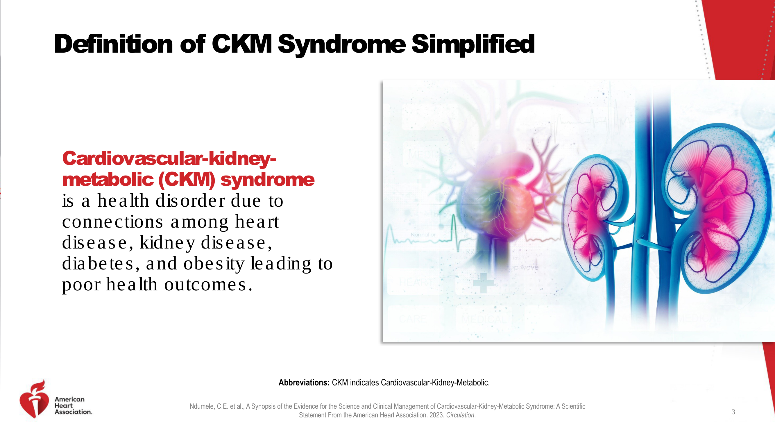 Before: Original slide 3 — text with generic kidney stock image