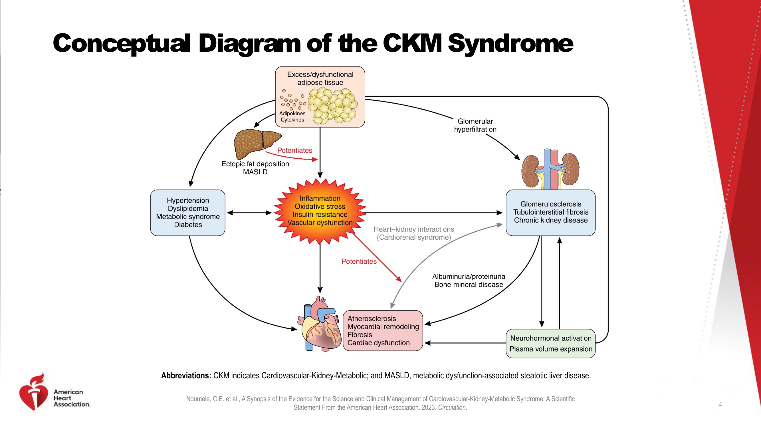 Before: Original slide 4 — flowchart with inconsistent clip art organs