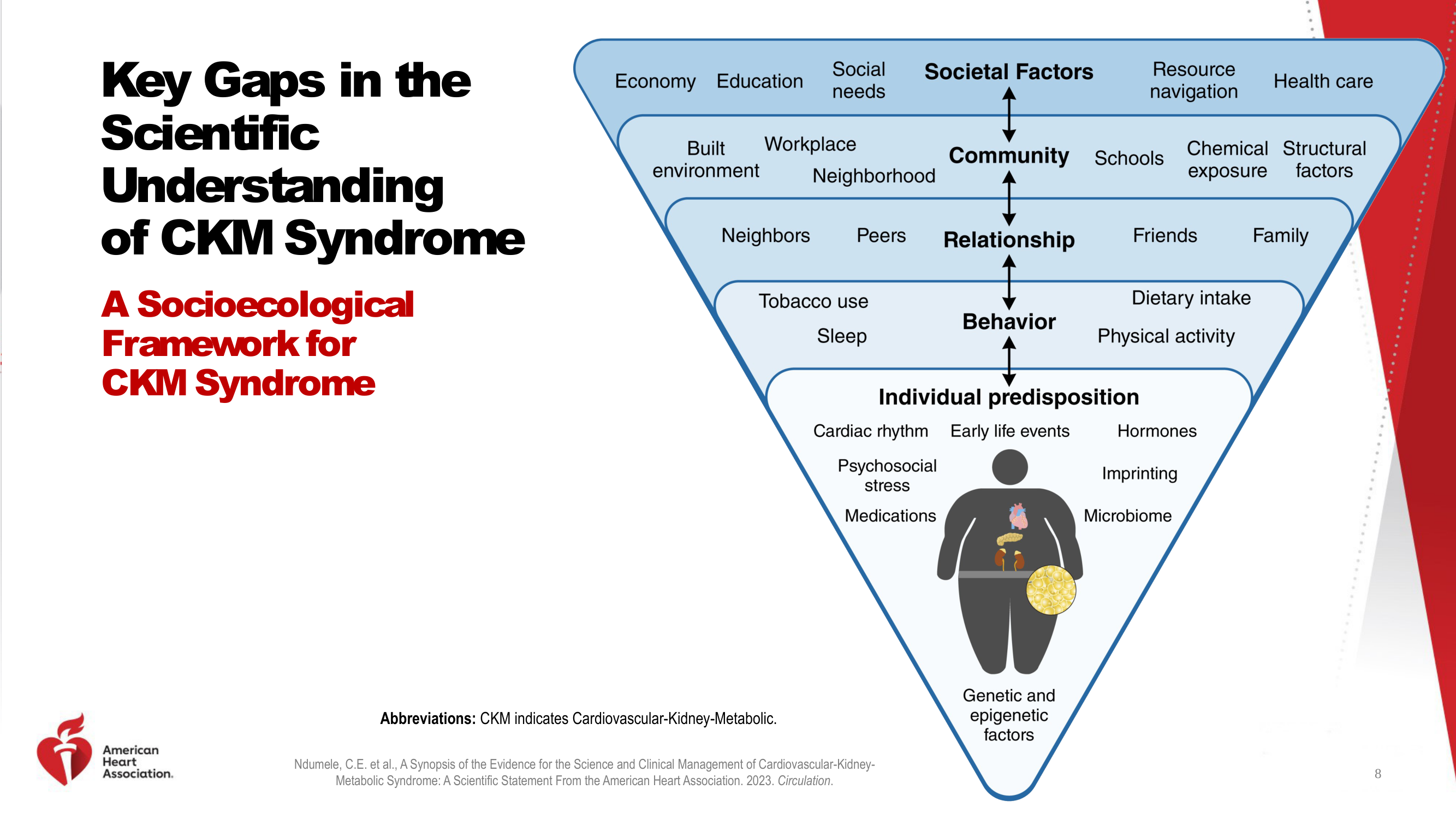 Before: Original slide 8 — inverted pyramid with cartoon figure