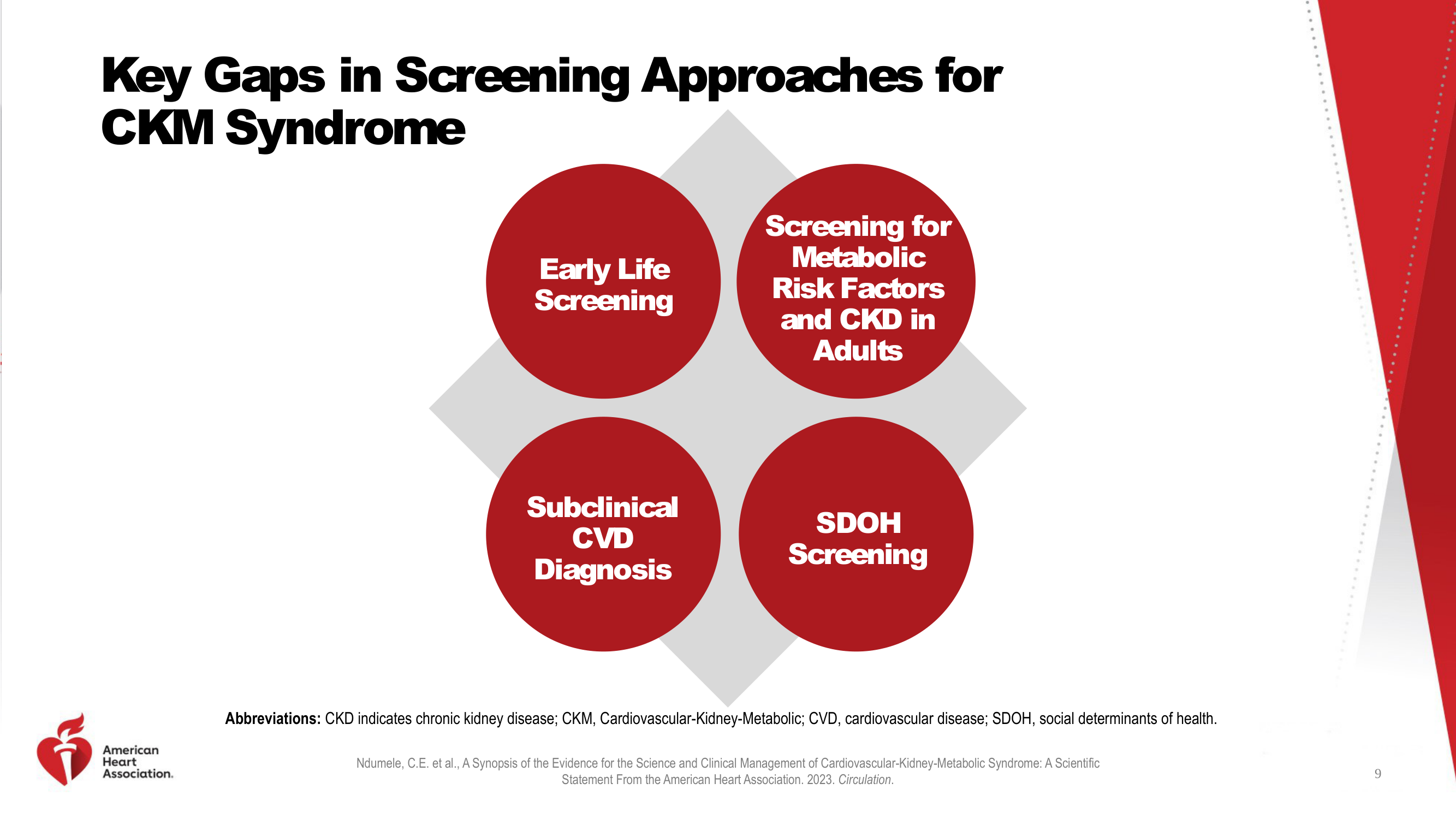 Before: Original slide 9 — red circles on grey diamond background