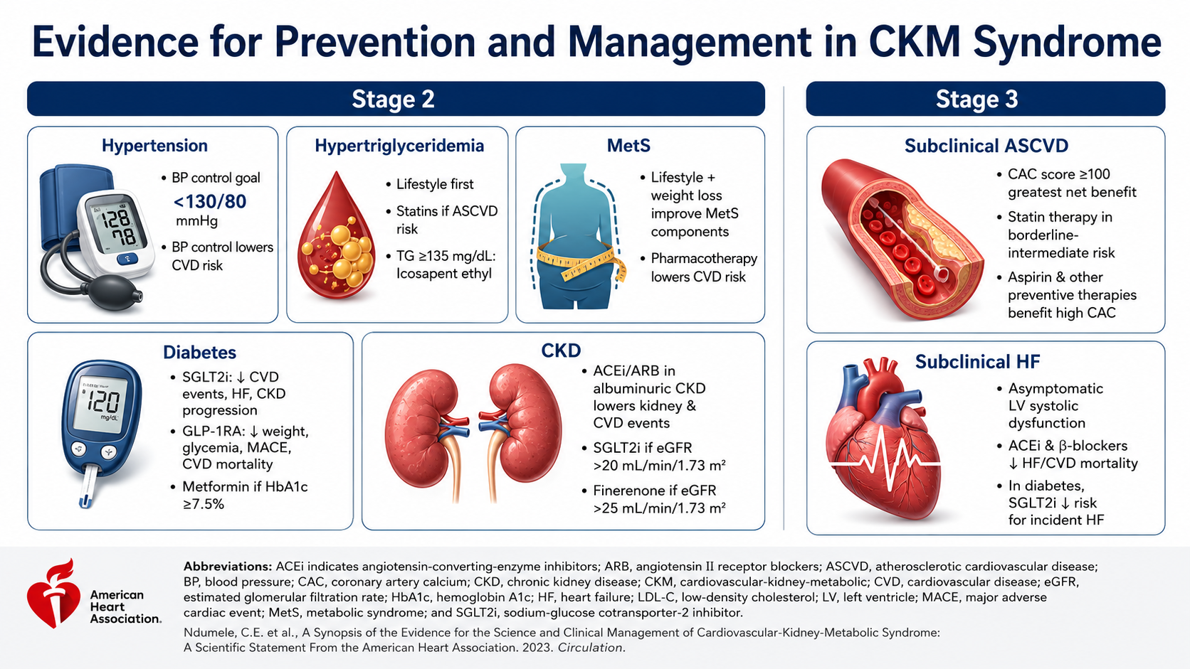 After: Redesigned slide 12 with organized sections and medical illustrations