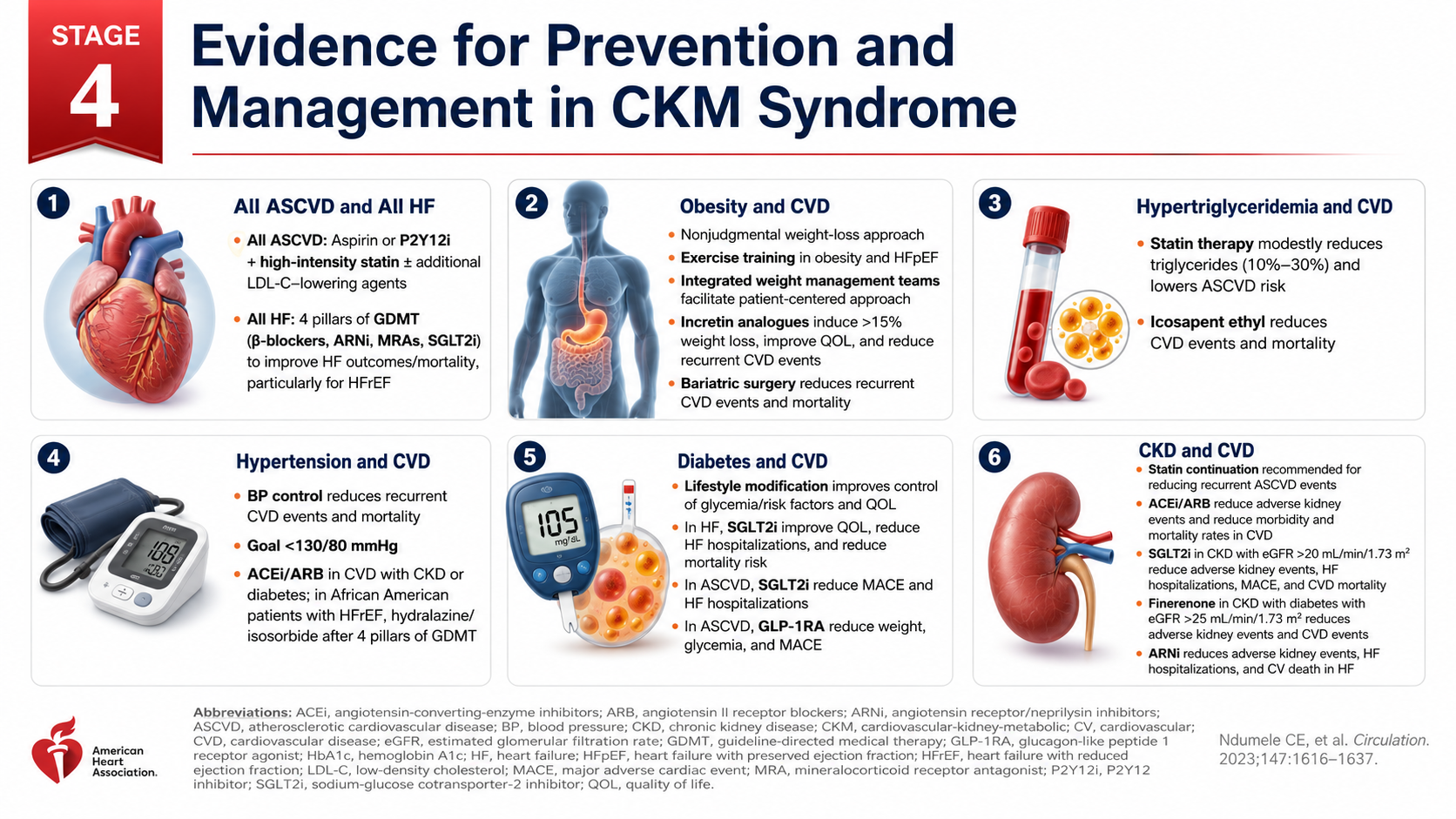After: Redesigned slide 13 with categorized treatment sections