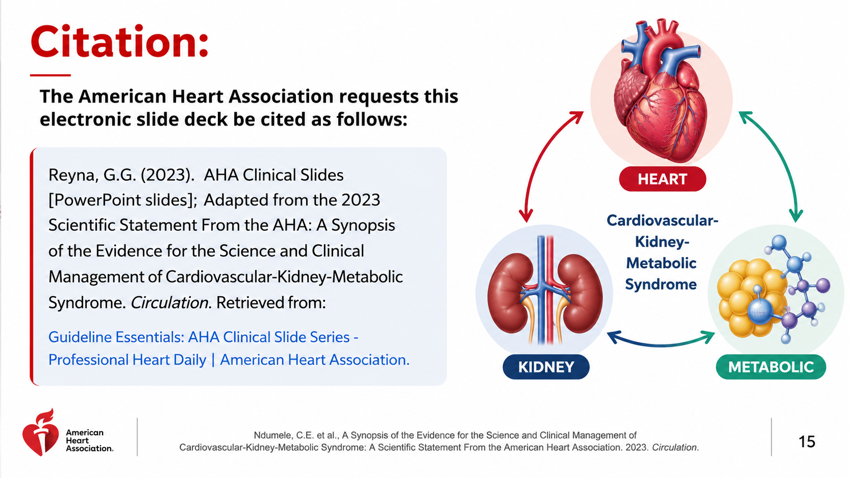 After: Redesigned slide 15 with clean citation and CKM illustration