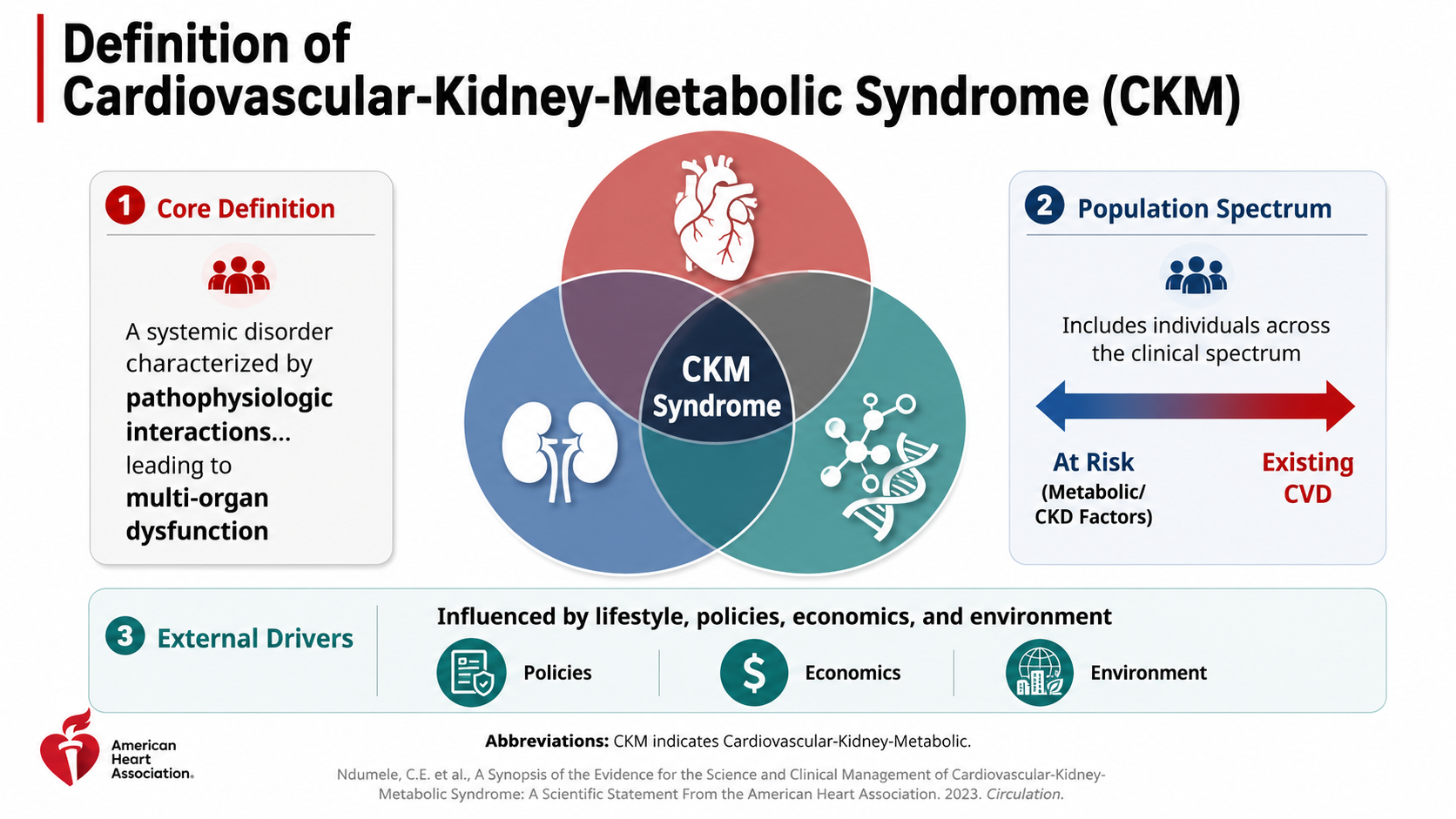 After: Redesigned slide 2 with visual hierarchy and medical illustrations