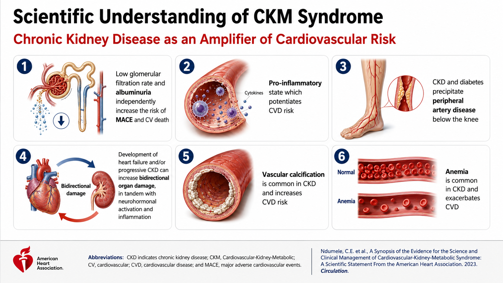After: Redesigned slide 6 with realistic medical illustrations replacing icons