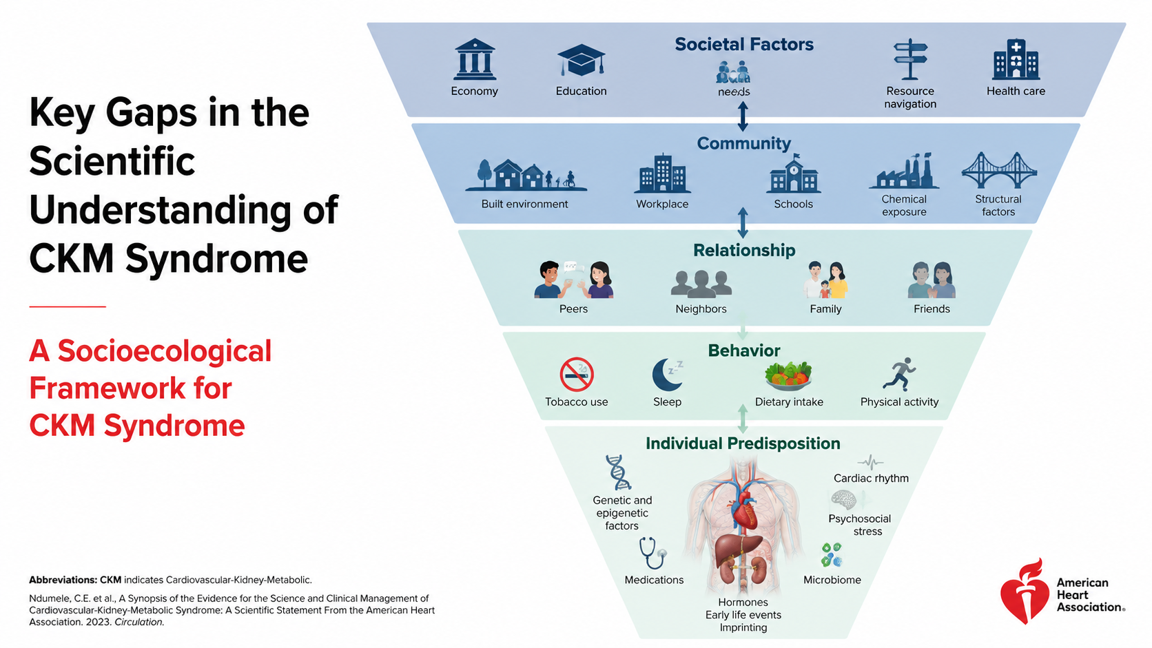 After: Redesigned slide 8 with richly illustrated socioecological pyramid