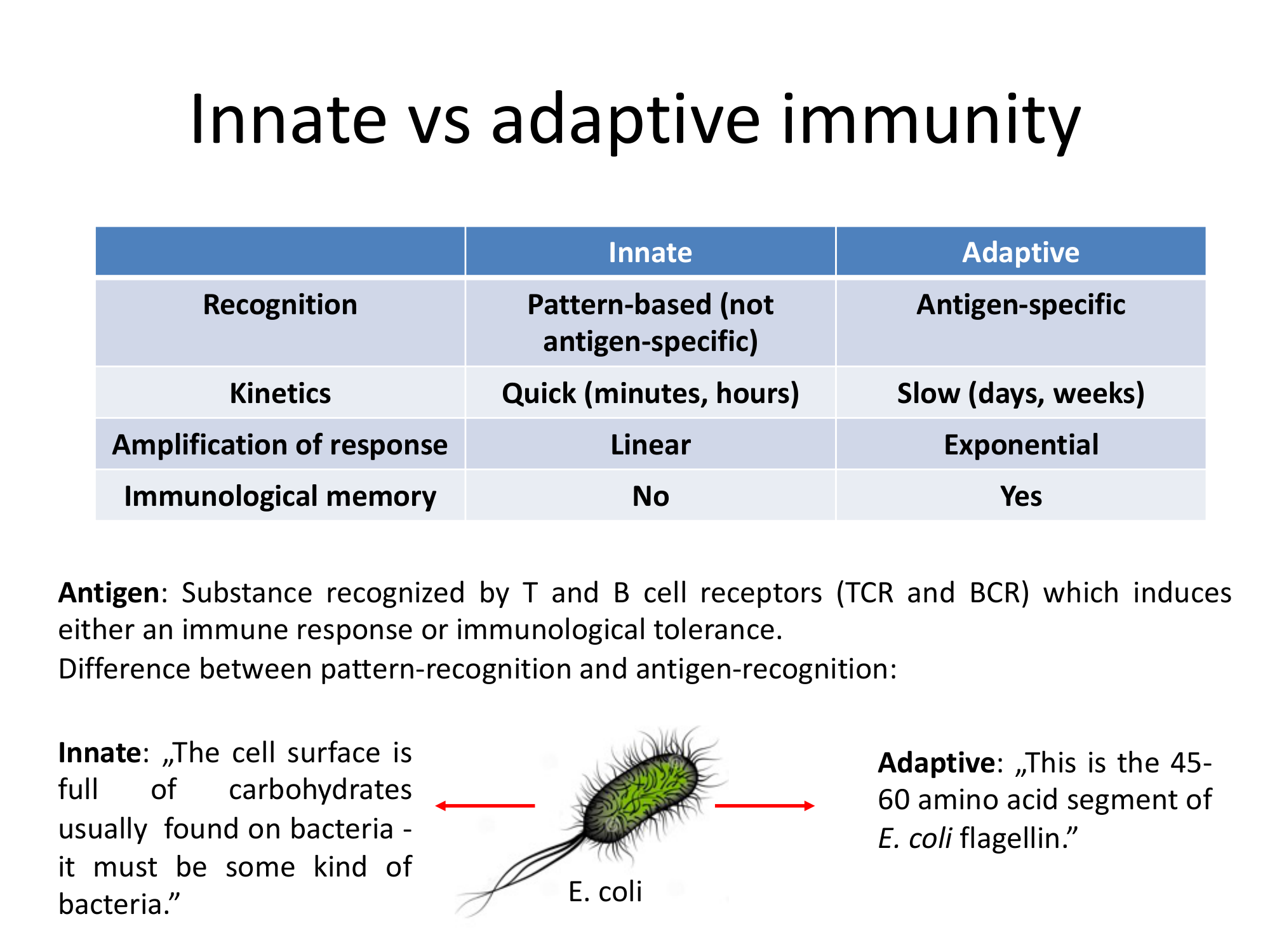 Before: Original slide 10 — comparison table with E. coli
