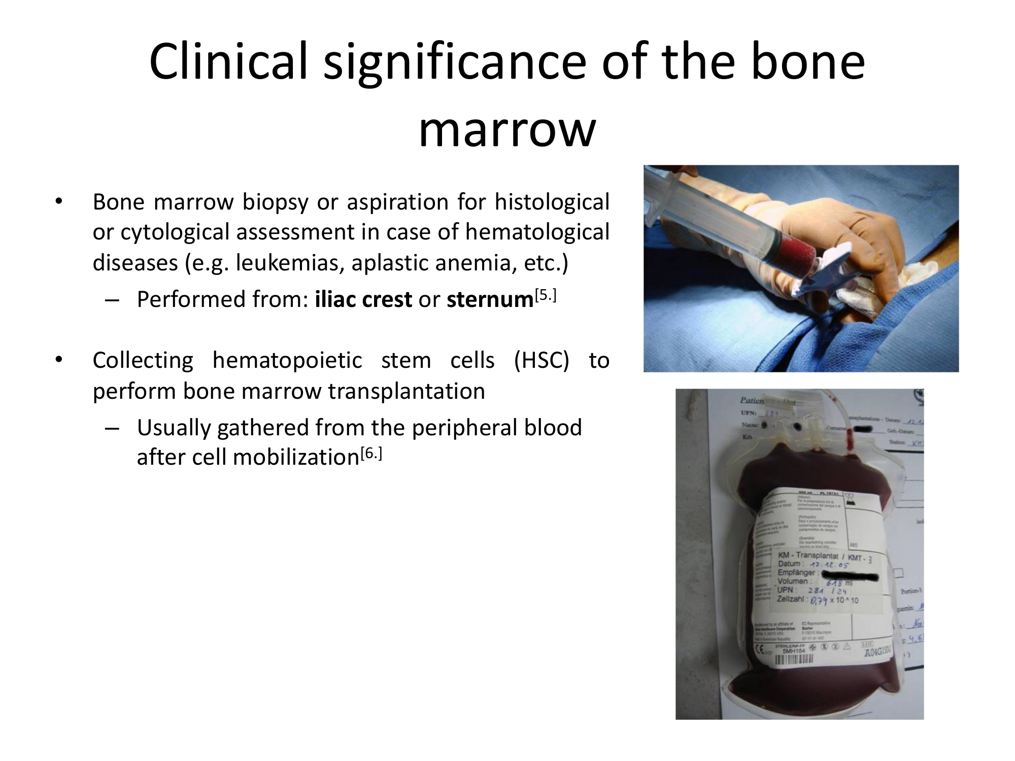 Before: Original slide 15 — clinical biopsy photos