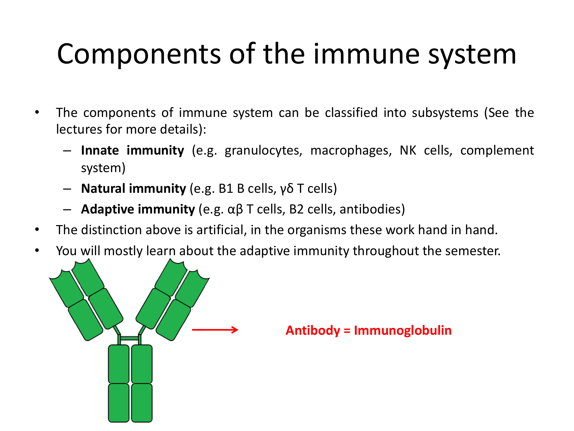 Before: Original slide 9 — text with generic antibody diagram