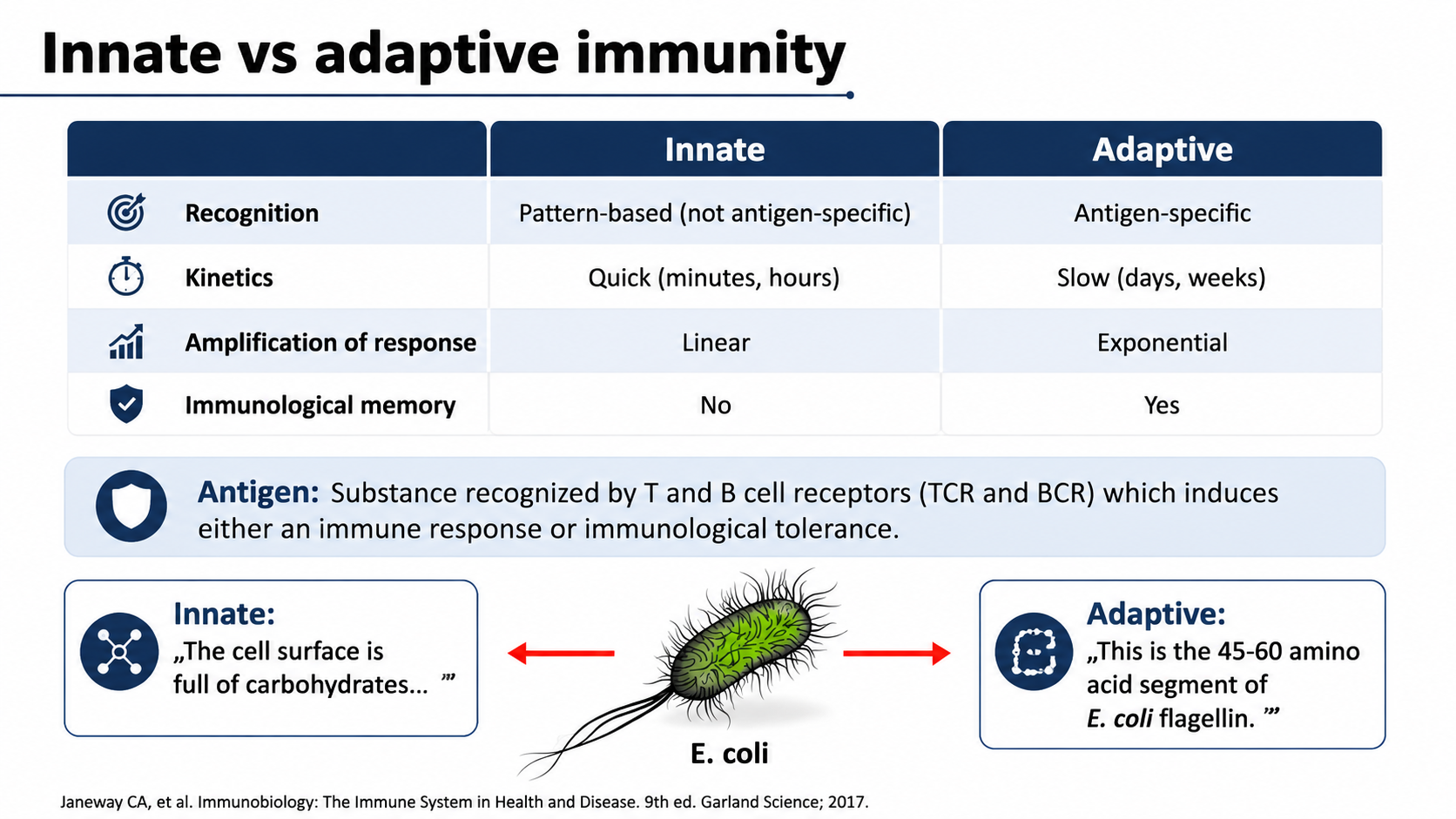After: Redesigned slide 10 with visual immunity comparison and AI-generated cells