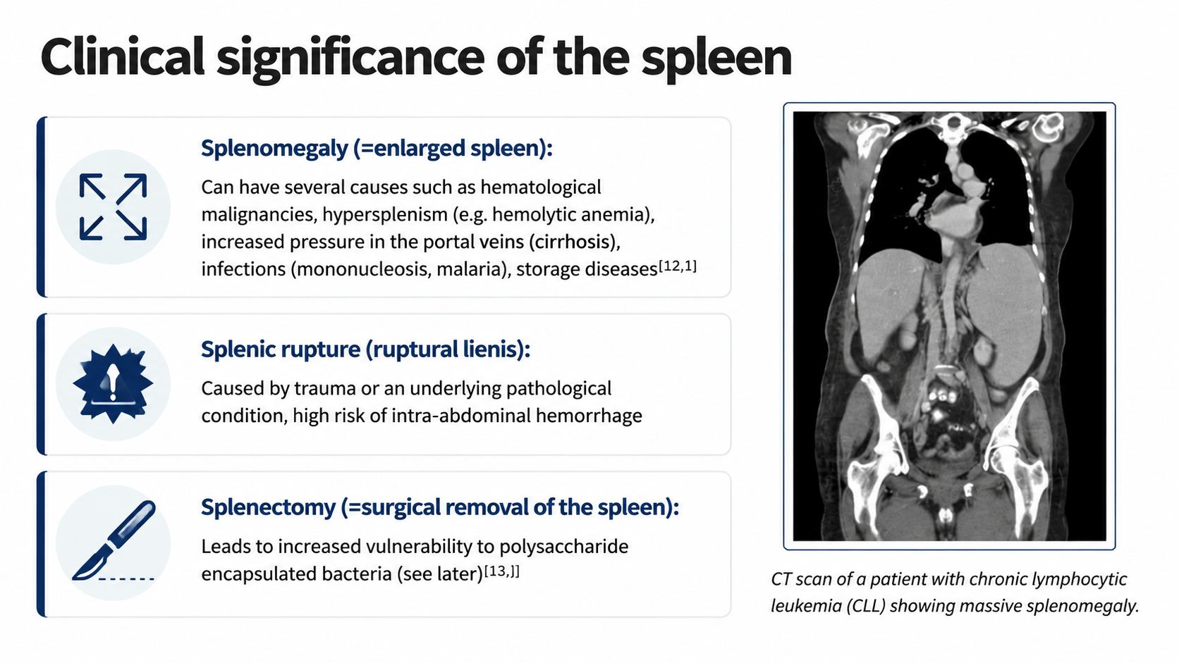 After: Redesigned slide 32 with annotated splenomegaly comparison