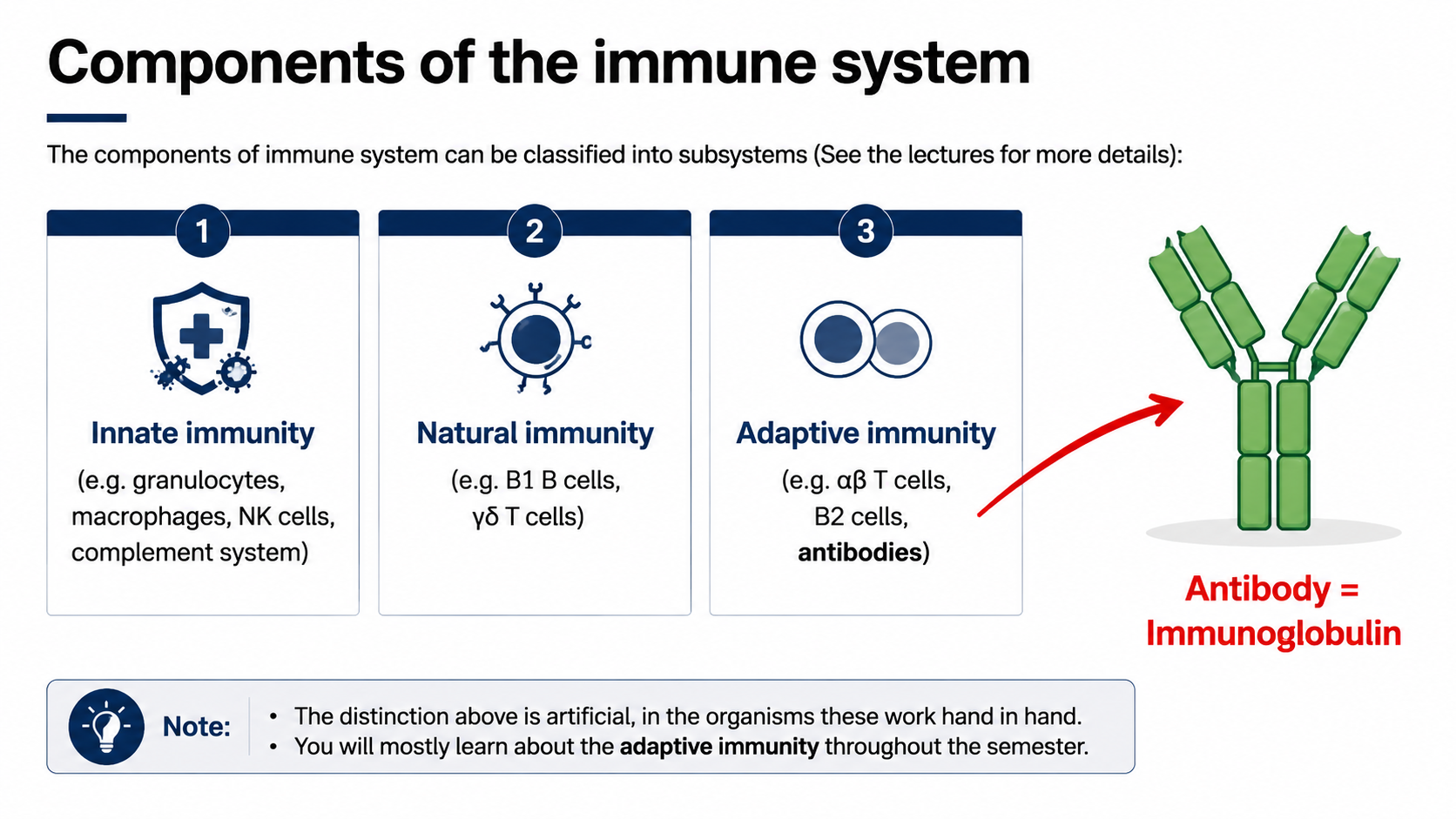 After: Redesigned slide 9 with AI-generated immune system illustration