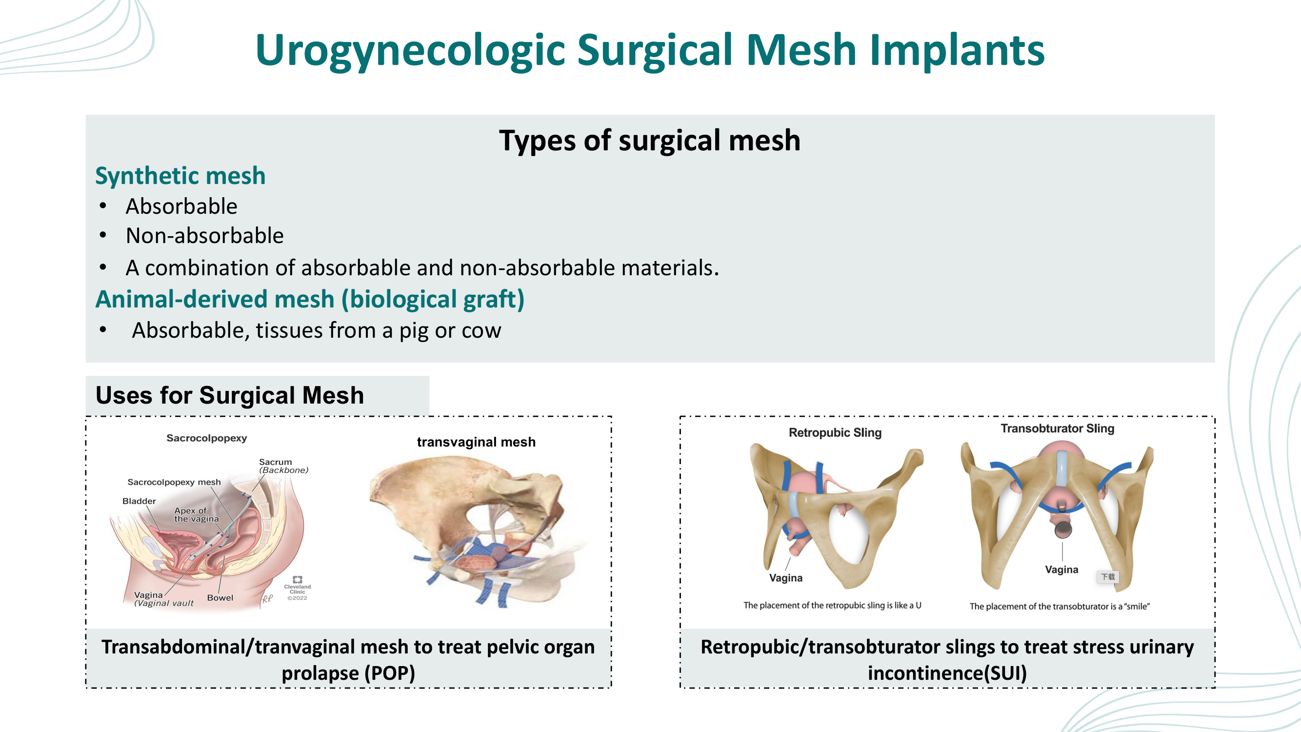Before: Original slide 3 — grey boxes with inconsistent anatomical diagrams