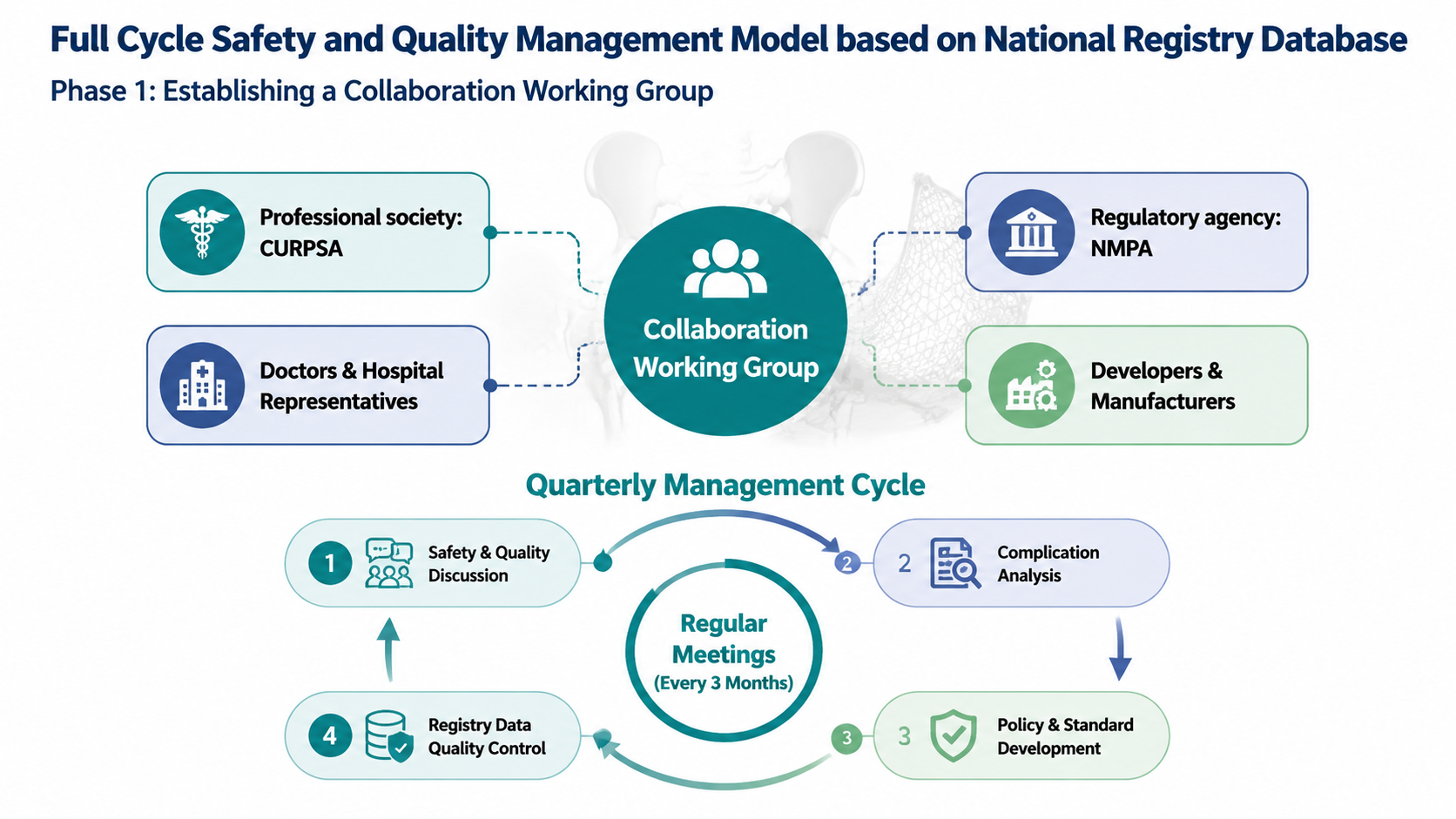 After: Redesigned slide 12 with professional org chart and quarterly cycle diagram